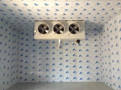 30T罗非鱼速冻风冷冷库-30℃北流冷库